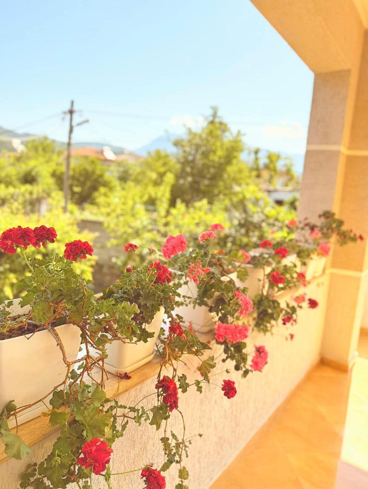 Anel'S Guesthouse Berat Exteriér fotografie